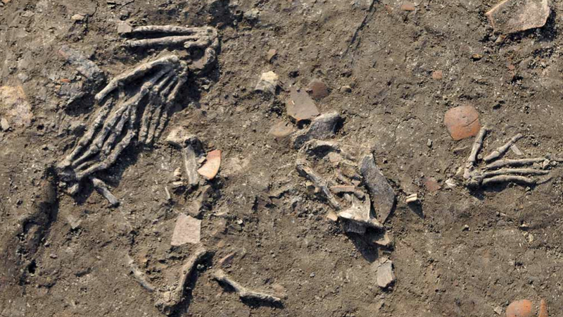 Illustration for article titled An archaeological first: sixteen severed hands found buried in ancient Egyptian city